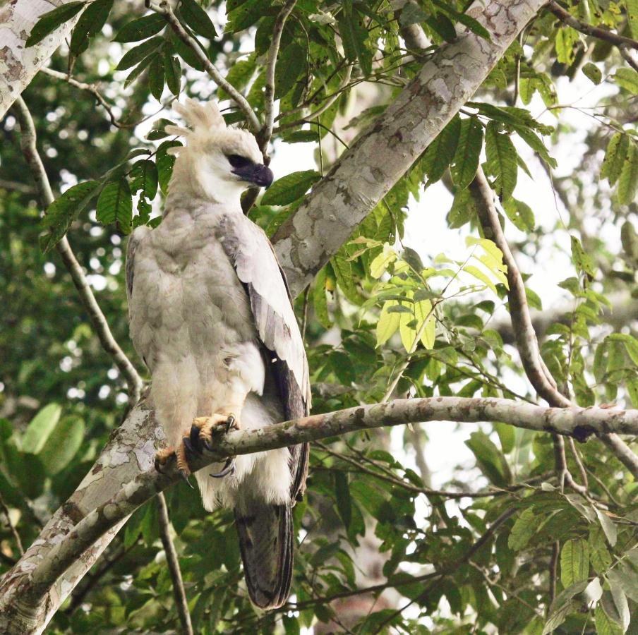 Wasai Tambopata Lodge Zewnętrze zdjęcie