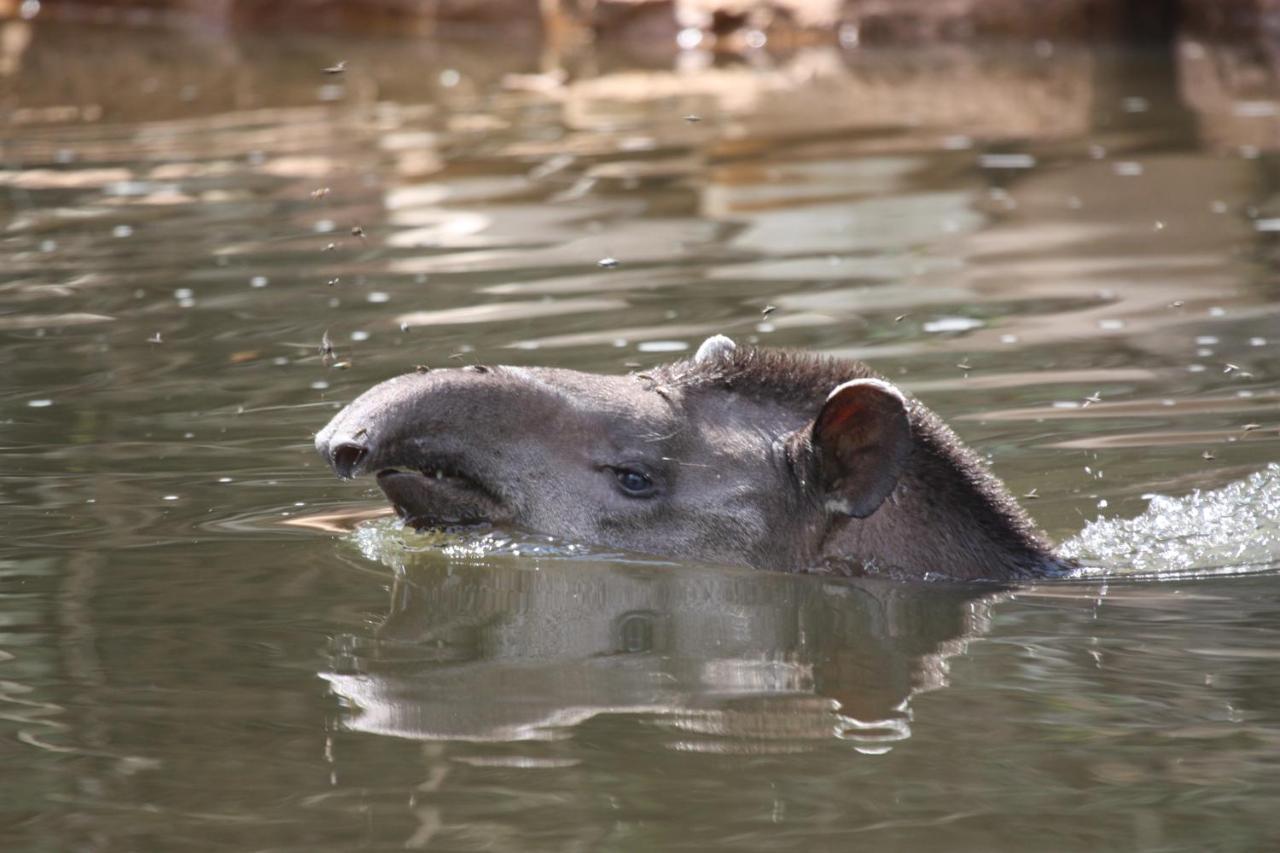Wasai Tambopata Lodge Zewnętrze zdjęcie