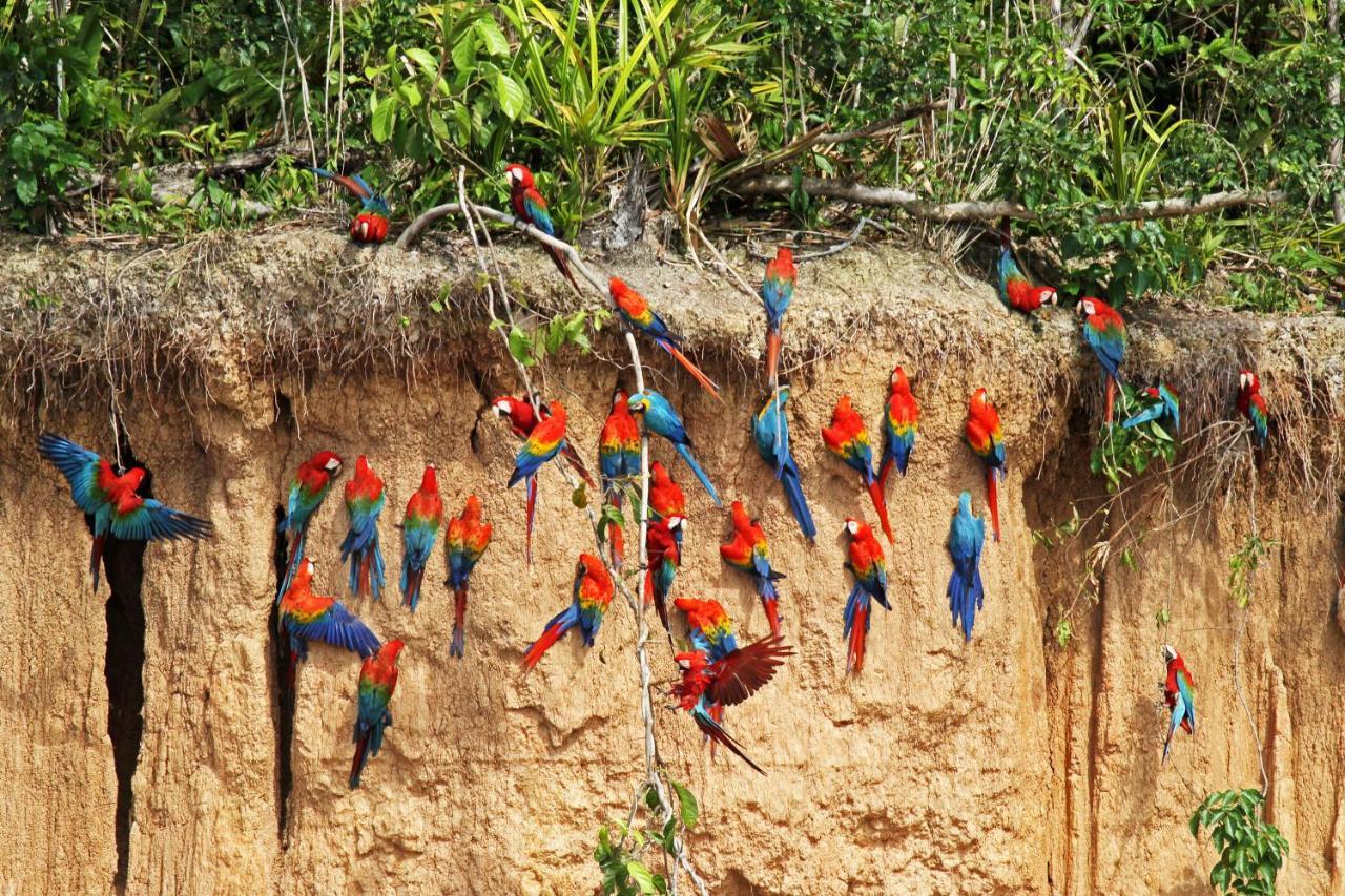 Wasai Tambopata Lodge Zewnętrze zdjęcie