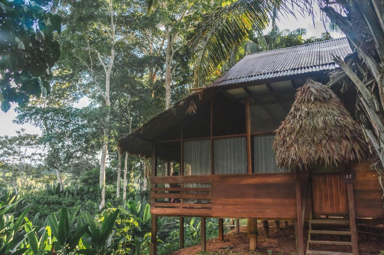 Wasai Tambopata Lodge Zewnętrze zdjęcie
