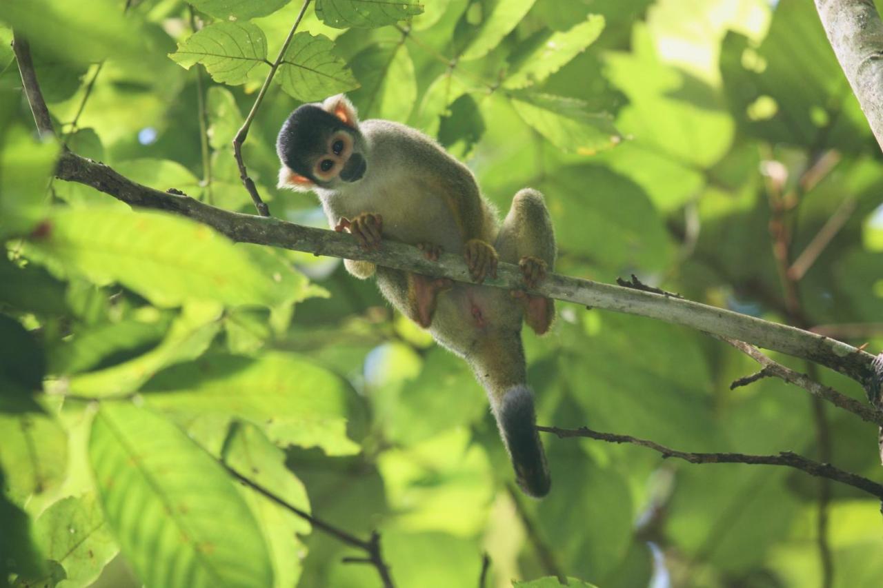 Wasai Tambopata Lodge Zewnętrze zdjęcie