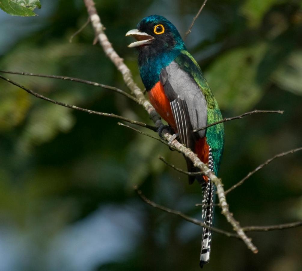 Wasai Tambopata Lodge Zewnętrze zdjęcie