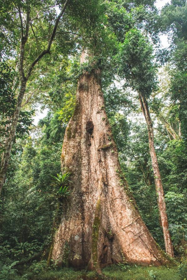 Wasai Tambopata Lodge Zewnętrze zdjęcie