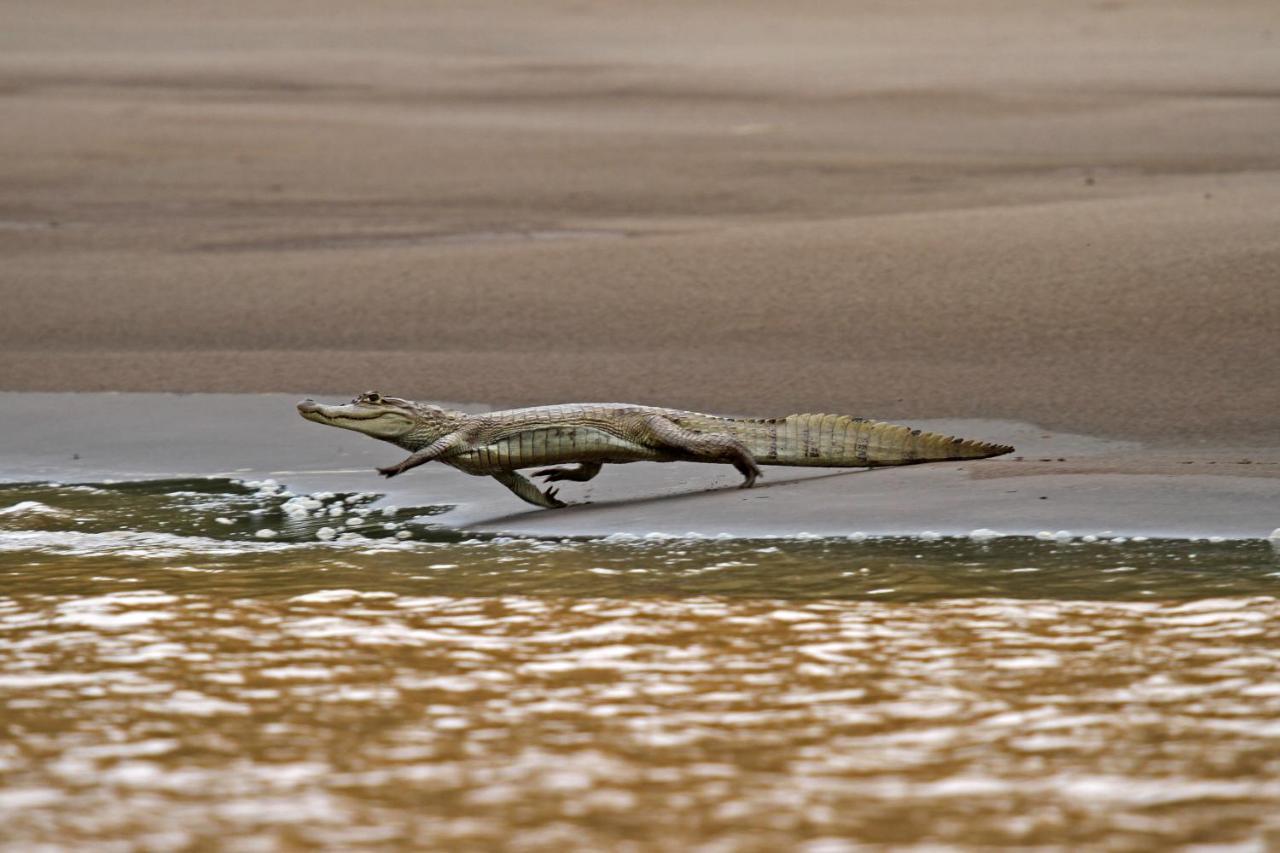 Wasai Tambopata Lodge Zewnętrze zdjęcie
