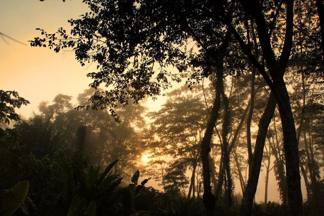 Wasai Tambopata Lodge Zewnętrze zdjęcie